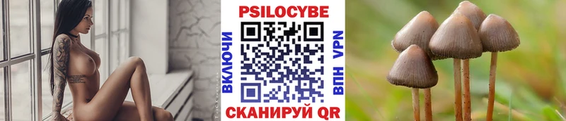 Псилоцибиновые грибы мицелий  Советская Гавань 