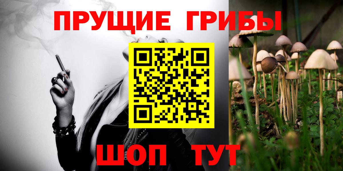 Псилоцибиновые грибы мицелий Советская Гавань