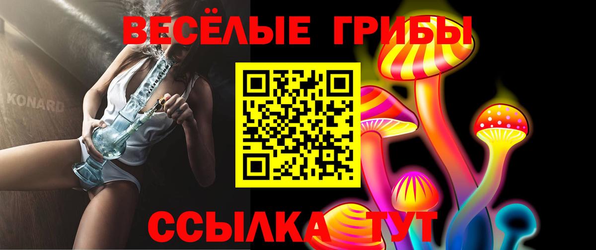 наркота  Вход с VPN  Советская Гавань  Псилоцибиновые грибы Cubensis 